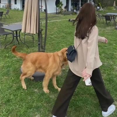 无间行者之生死潜行粤语
